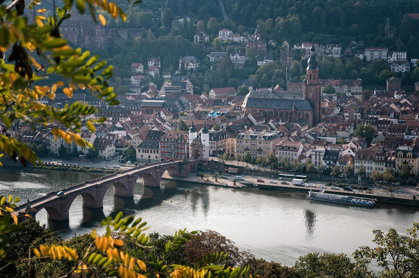 Bild Skyline Sicherheitsdienst Heidelberg