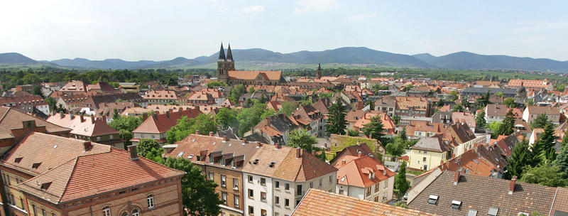 Bild Skyline Sicherheitsdienst Landau in der Pfalz