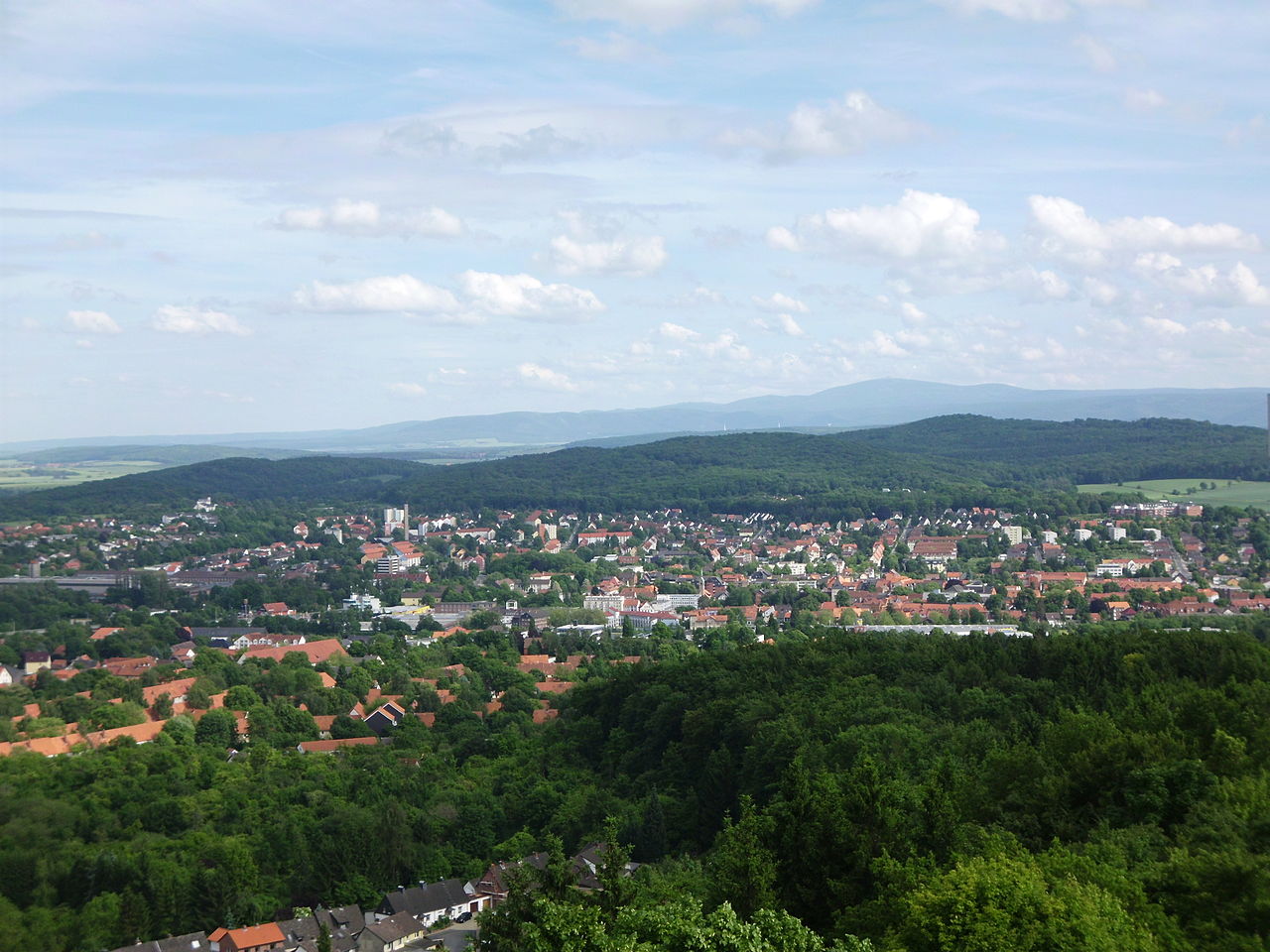 Bild Skyline Sicherheitsdienst Salzgitter