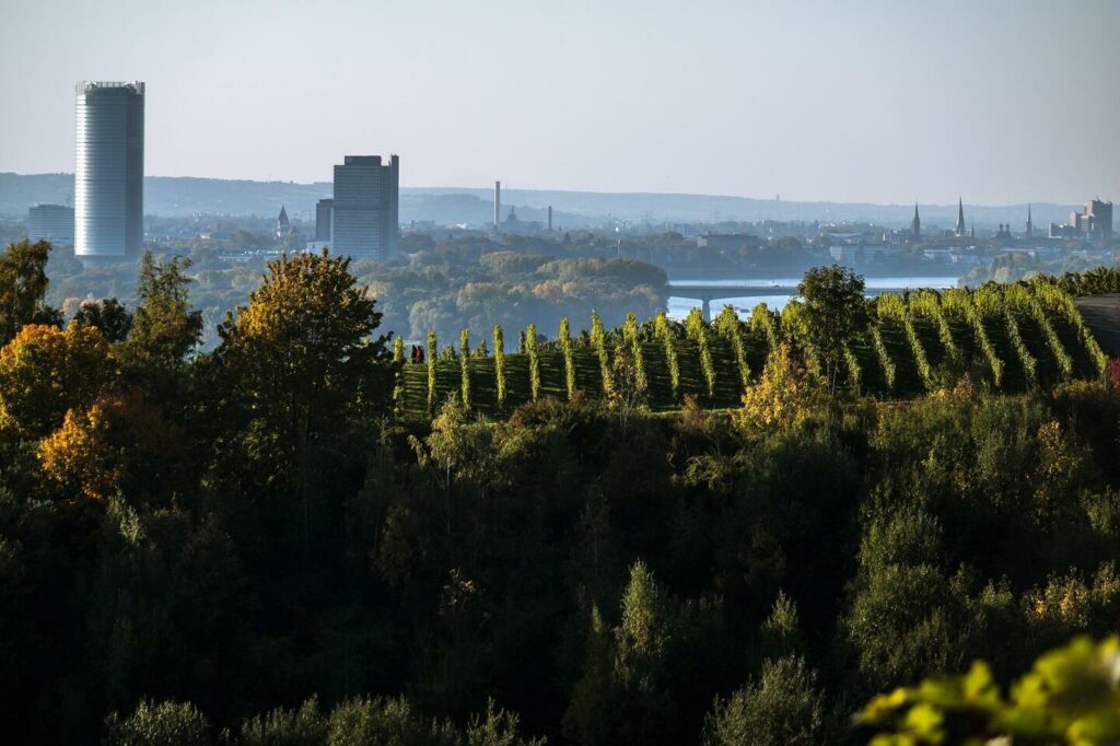 Bild Skyline Sicherheitsdienst Bonn